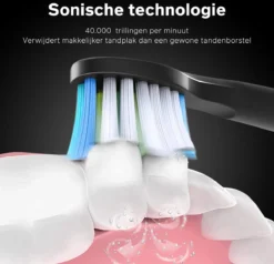 Bintoi® ISonic Black Series D700 - Elektrische Tandenborstel - Ultra Whitening -Oral B Shop 1200x1156 1