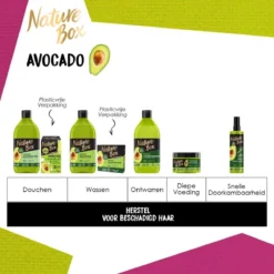Nature Box Avocado Shampoo 6x 385 Ml - Grootverpakking 14 Nature Box Avocado Shampoo 6x 385 Ml - Grootverpakking -Oral B Shop 1200x1200 1260