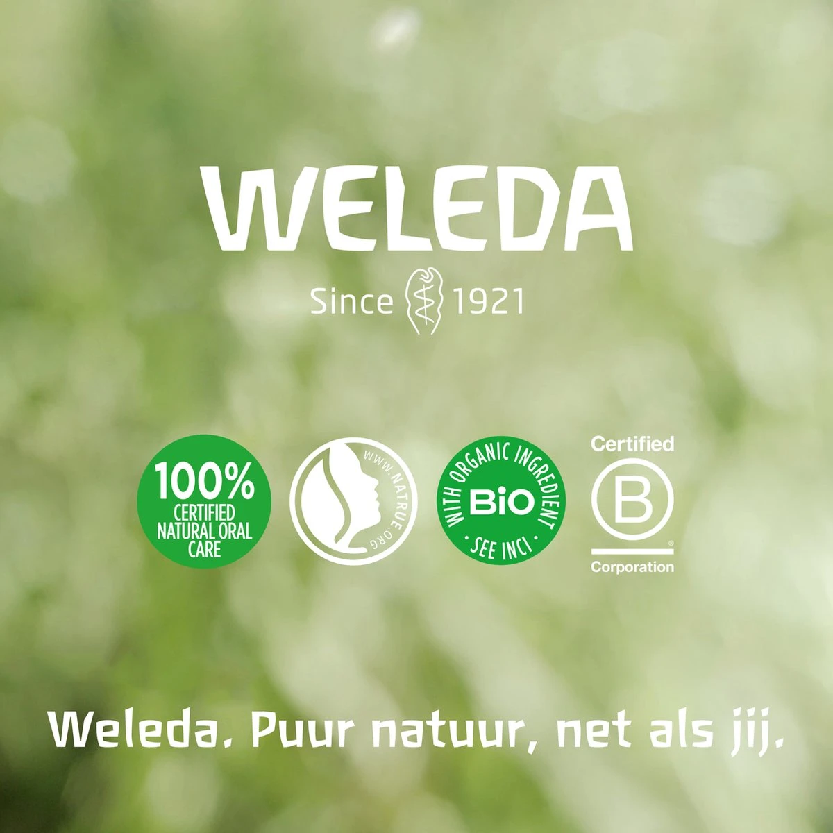 Weleda Skin Food Body Lotion 5 Weleda Skin Food Body Lotion - Afbeelding 5