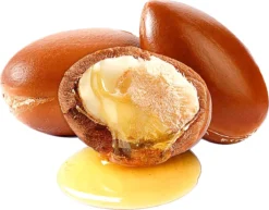 Arganolie 100ml | 100% Puur & Onbewerkt | Argan Olie Voor Gezicht, Haar En Lichaam 15 Arganolie 100ml | 100% Puur & Onbewerkt | Argan Olie Voor Gezicht, Haar En Lichaam -Oral B Shop 1200x939