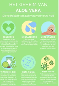 Aloeveco - Hydraterende Gel Van Aloe Vera - Genezende Huidverzorging - 99% Puur - Organic - 250 Ml 8 Aloeveco - Hydraterende Gel Van Aloe Vera - Genezende Huidverzorging - 99% Puur - Organic - 250 Ml -Oral B Shop 826x1200 1